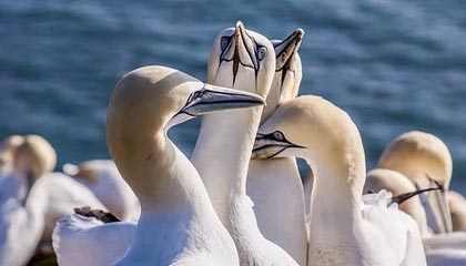 爱游戏智能体验-榜眼战！女足将士逐鹿赛场，胜负凭君决断，女足主将