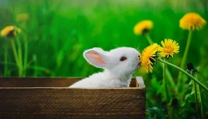 爱游戏智能体验-榜眼战！女足将士逐鹿赛场，胜负凭君决断，女足主将